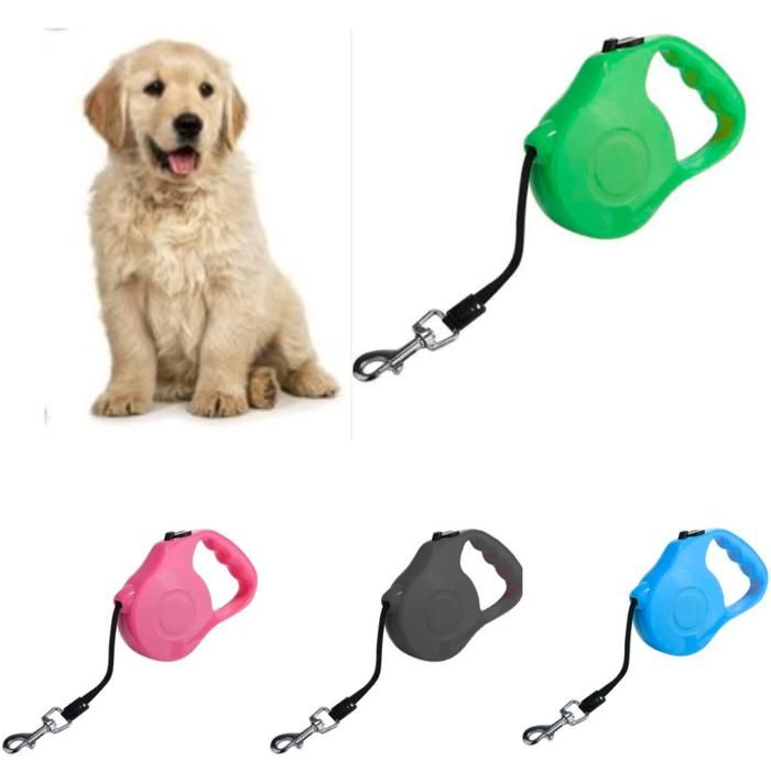 Laisse rétractable 5m pour chien(Couleur aléatoire)