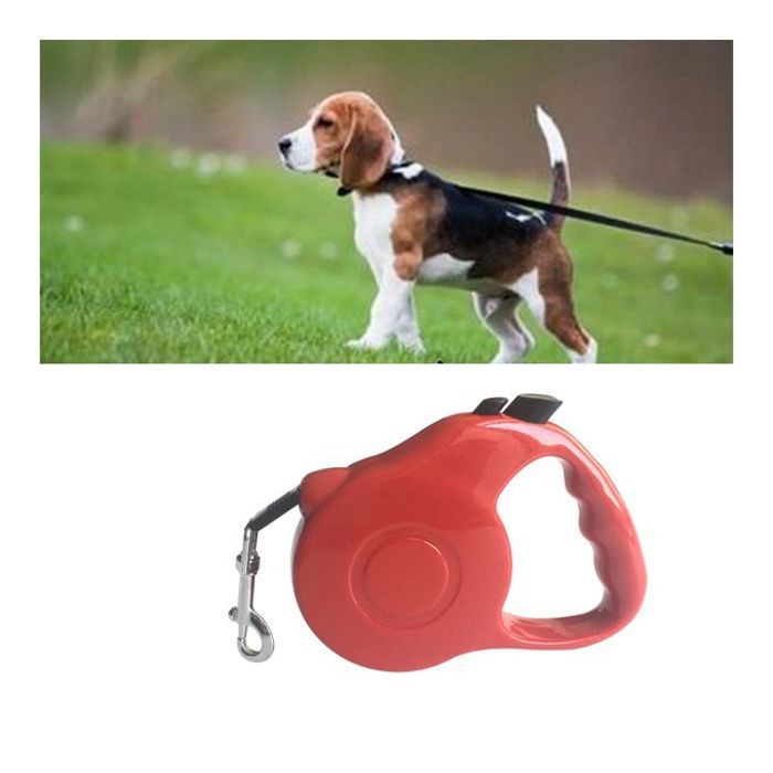 Laisse pour chien en nylon, rétractable automatique, laisses de marche pour chien