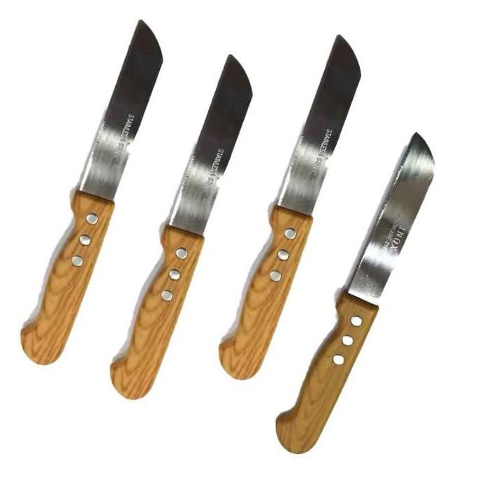 Série de 4 Couteaux de cuisine INOX