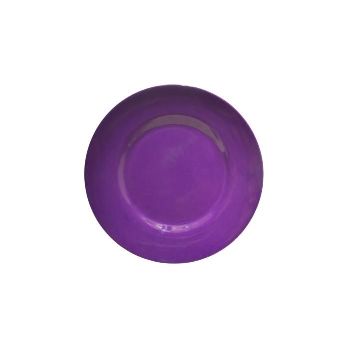Assiette - Vitamine - 25,2 cm - Mélamine - Résistante - Design contemporain