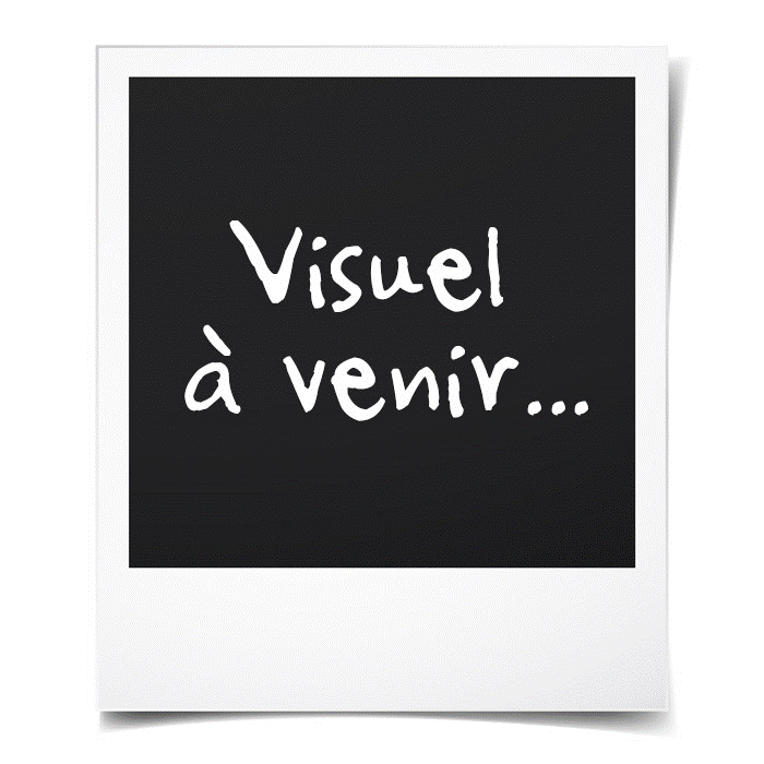 Ventilateur PC 5V - CITYTEK - MF109085 - Noir - Compact - Performances optimales