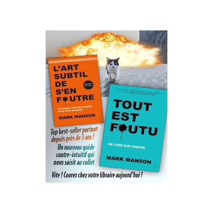 Roman - tout est foutu, l'art subtil de s'en foutre - Fantasy - Shatter Me series - Box set de 6 livres