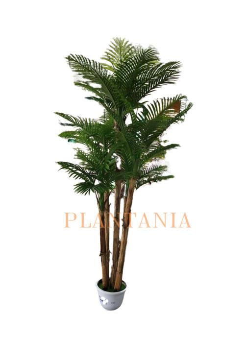 Plante artificielle palmier 250 cm-sans pot.