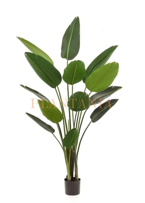 Plante artificielle bananier 180 cm-sans pot.