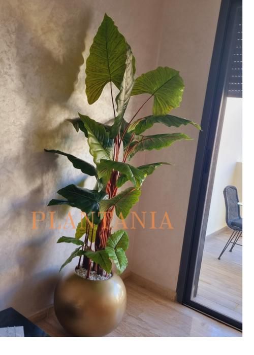 Plante artificielle alocassia 180 cm vert bordeau-sans pot.
