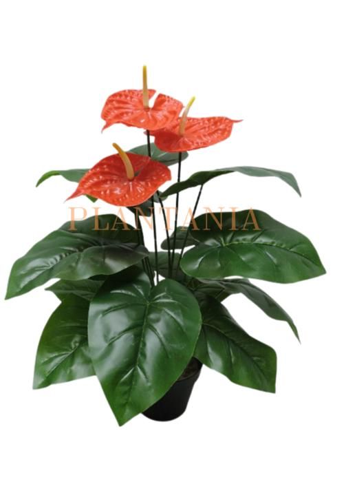 Plante artificielle, Anthurium rouge 65 cm-sans pot.