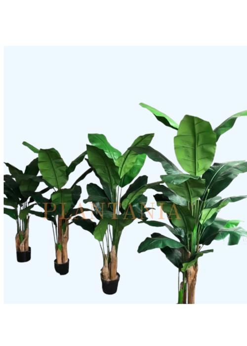 Plante artificielle bananier 3 tiges 195 cm-sans pot.