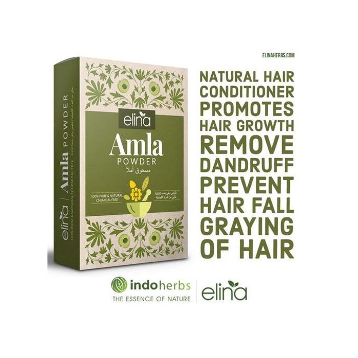 Amla Poudre Ayurvédique Pour Cheveux 100G