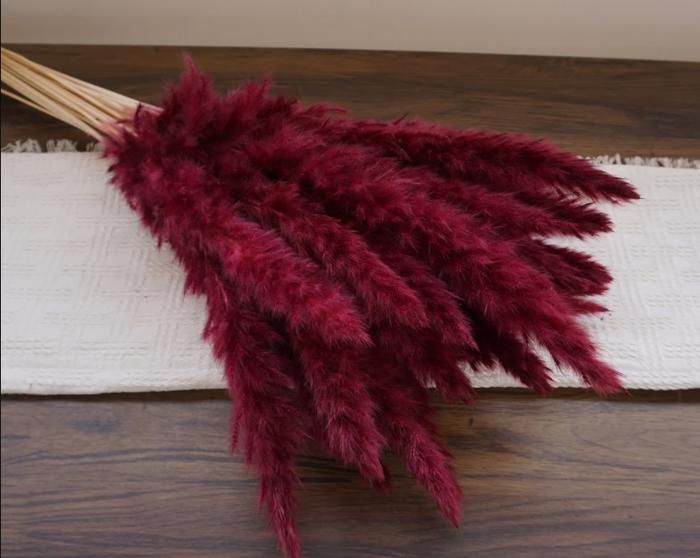 Lot de 10 Plumeaux de Roseau Naturels BORDEAU  – Phragmites Communis – Herbe de Pampa pour Décoration Maison, Bureau et Événements