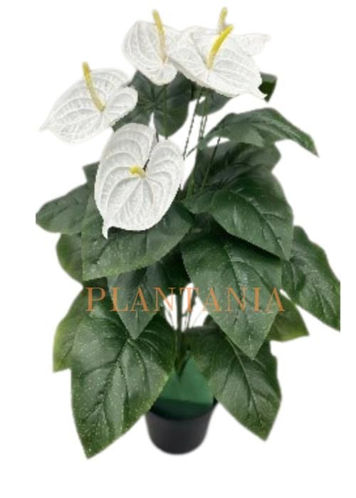 Plante artificielle, Anthurium blanc 85 cm-sans pot.-sans pot.
