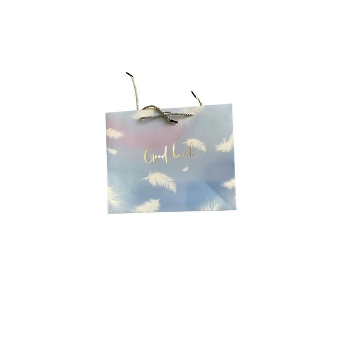 SAC A CADEAU GOOD LUCK  LUX DEISGN DE PLUME AVEC RUBON L