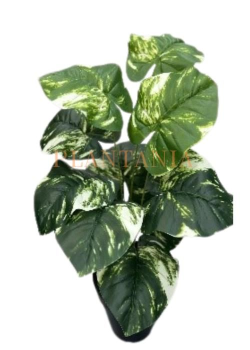 Plante artificielle,  65 cm-sans pot.