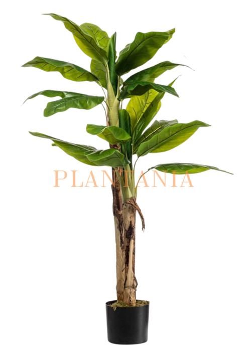 Plante artificielle bananier 170 cm-sans pot.