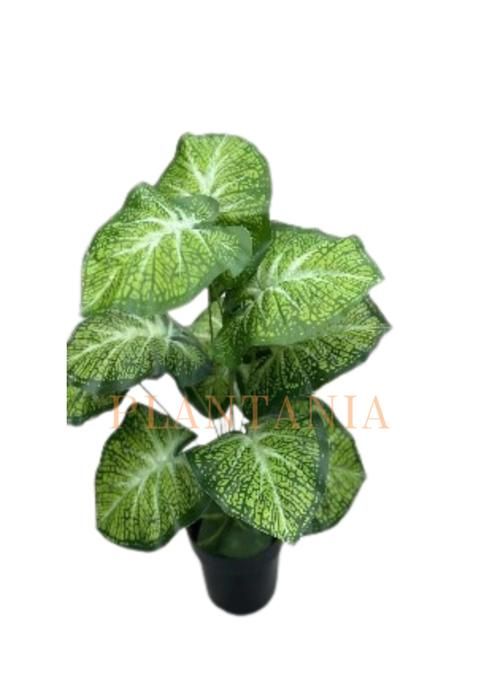 Plante artificielle,  65 cm-sans pot.
