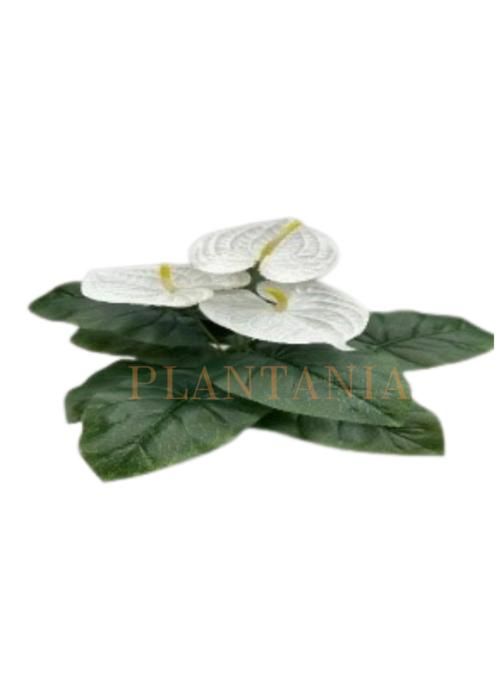 Plante artificielle, Anthurium blanc 65 cm-sans pot.