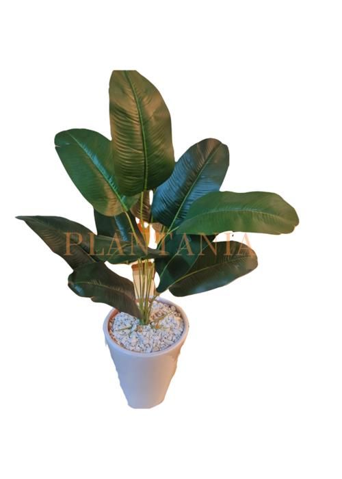 Plante artificielle,  65 cm-sans pot.