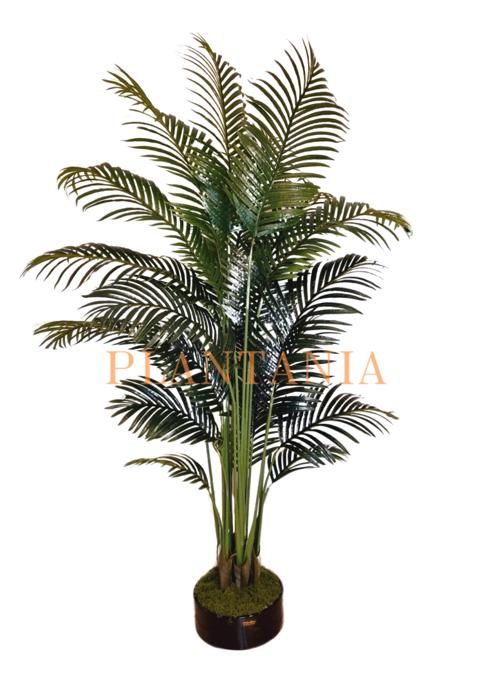 Plante artificielle palmier Areca 200 cm-sans pot.