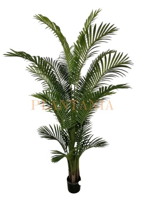 Plante artificielle palmierf 220 cm-sans pot.