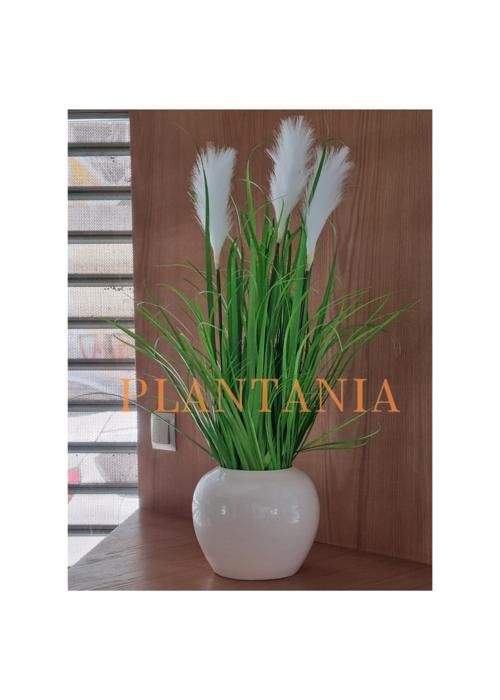 Plante artificielle - PLANTANIA - 85 cm - Vert - Aspect naturel - Sans pot