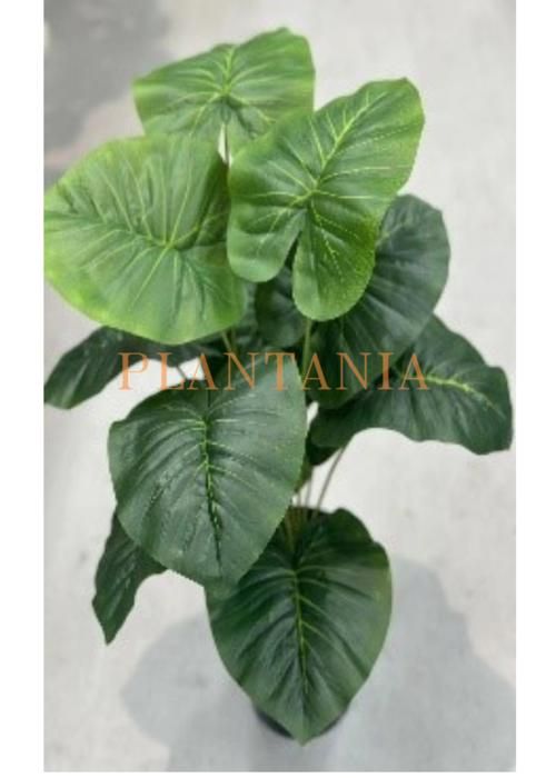 Plante artificielle,  65 cm-sans pot.