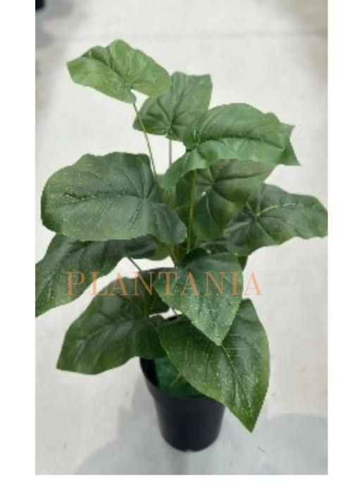 Plante artificielle,  65 cm-sans pot.