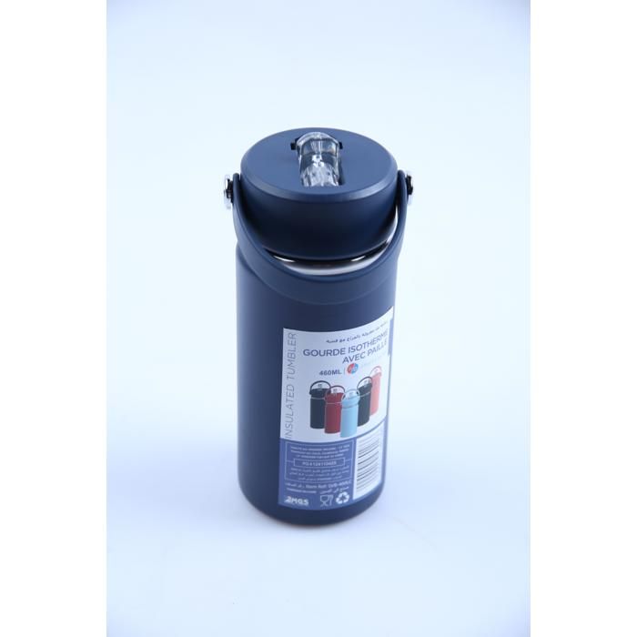 Bouteille isotherme - GENERIC - SVB-400 - 500ml - Double paroi - Paille intégrée