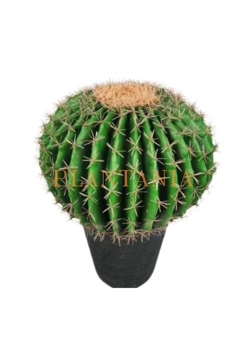 Cactus artificiel 52 cm-sans pot.