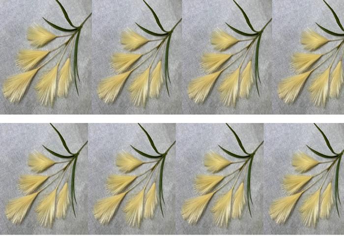 Herbes de pampas artificielles - PLANTANIA - Lot de 8 - Soie - Blanc - Décoration intérieure/extérieure