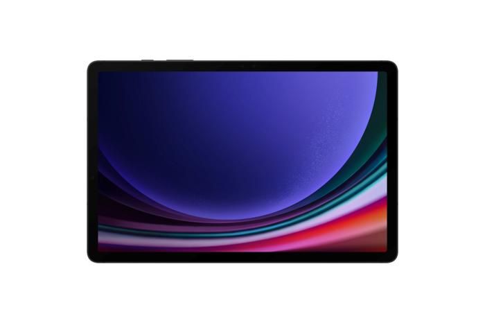 Tab S9 Series 12 Gb 256 Gb Graphite