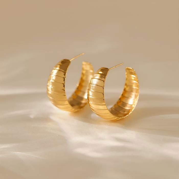 Clémentine Paris Boucles d'oreilles  de Luxe élégant à la mode OGN0006
