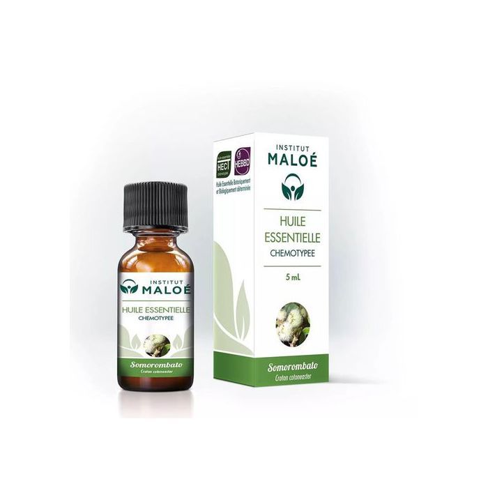 Institut Maloé Huile essentielle de Somorombato bio 5ml - Made in France