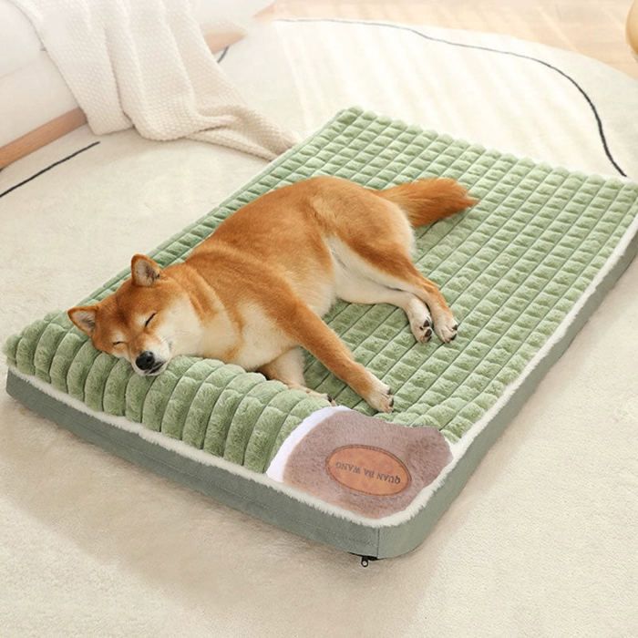 Lit pour Chiens - 75x45 cm - Épais et Confortable - Lavable en Machine - Antidérapant