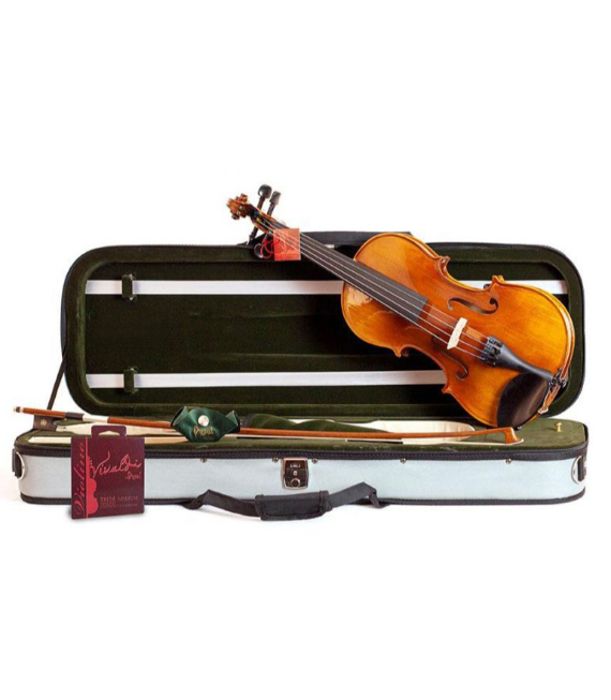 Violon 4/4 Domus Musica PRO