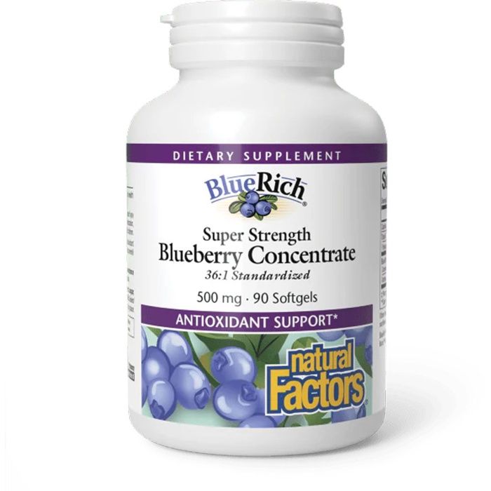 Natural Factors BlueRich Concentré de Myrtille 500mg - 90 Gélules | Antioxydants Puissants | Santé Oculaire & Cognitive | Maroc