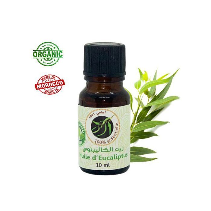 Huile Essentielle - Eucalyptus - 10 Ml - Antibactérienne - Purifiante - Anti-inflammatoire