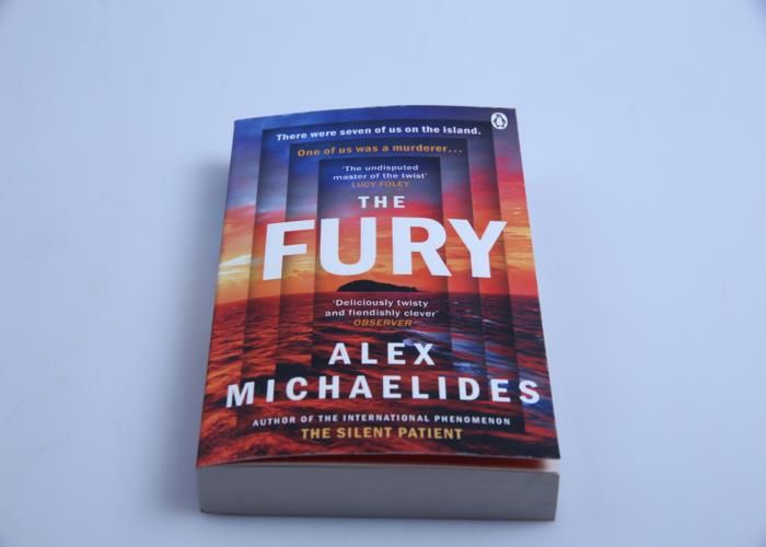 Livre Thriller - GENERIC - The Fury - Captivant - Suspense - Rebondissements inattendus