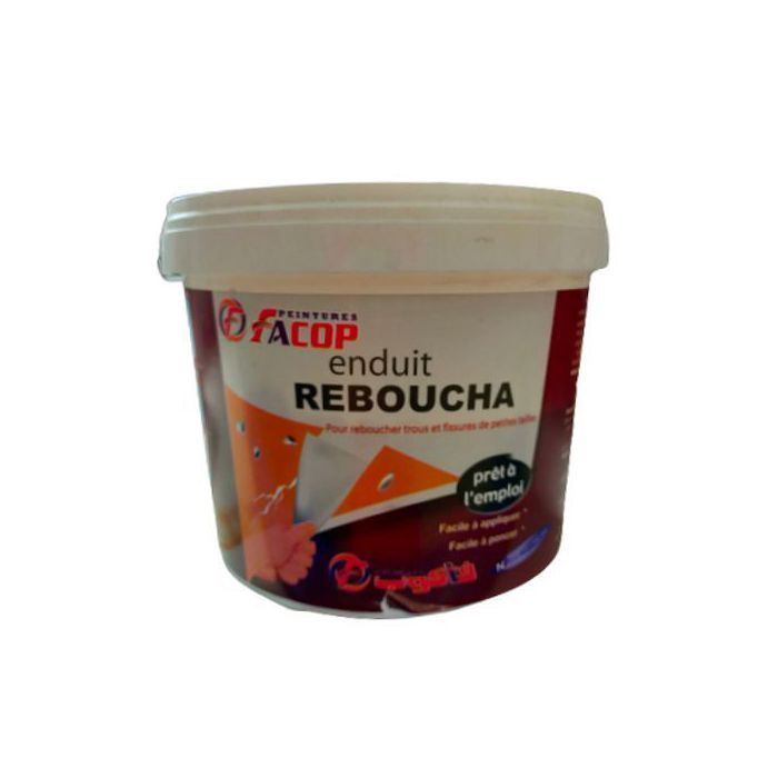 FACOP Enduit Reboucha Pour Reboucher Trous et Fissures 1kg