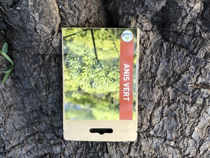 SACHET DE GRAINES ANIS VERT