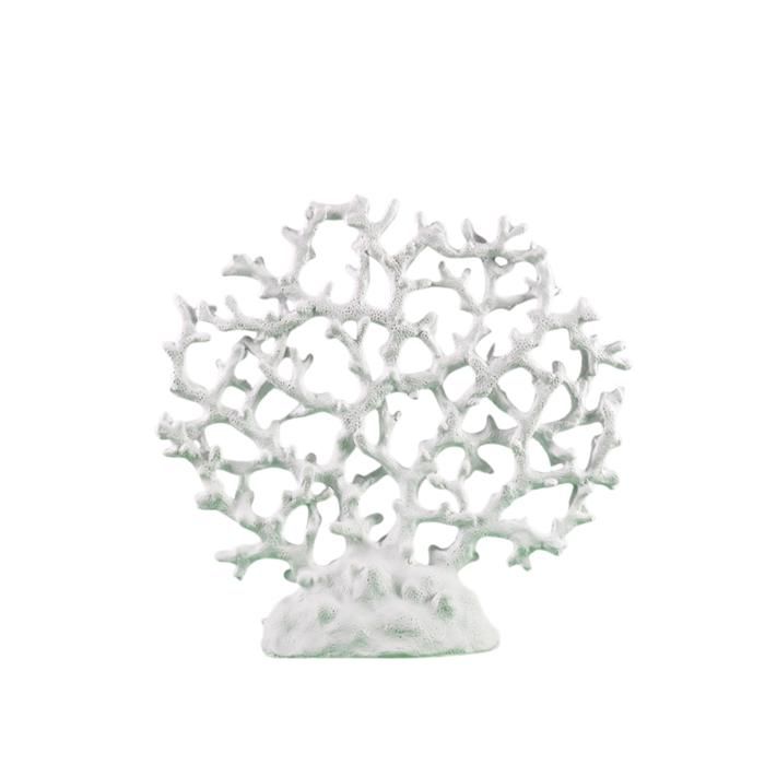BLOC DE CORAIL 25*6*25cm