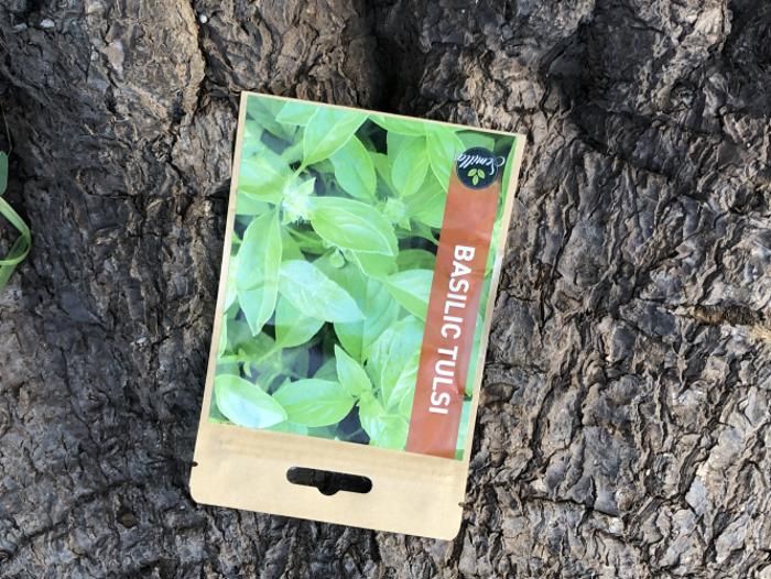 SACHET DE GRAINES BASILIC TULSI