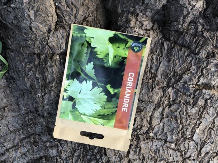 SACHET DE GRAINES CORIANDRE