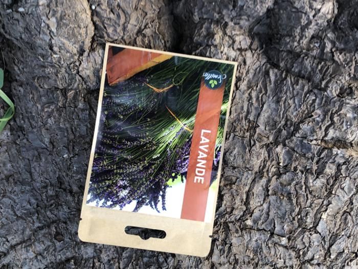 SACHET DE GRAINES LAVANDE
