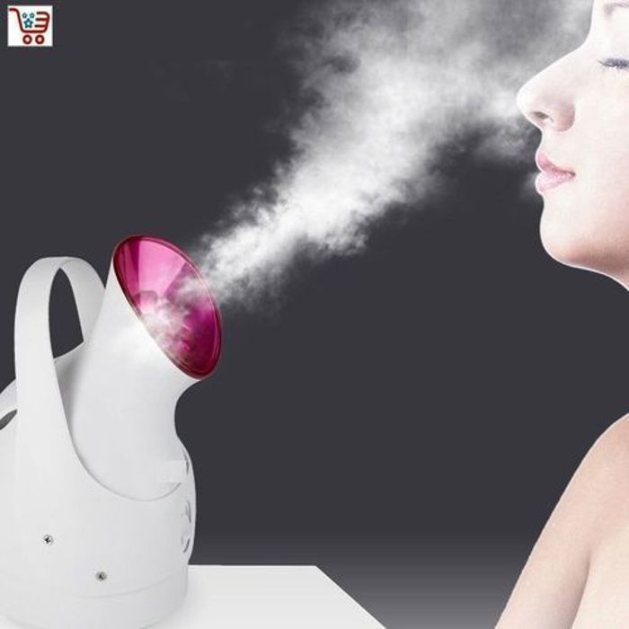 Appareil de Pour Nettoyage Des Pores Traitement de Beauté À la Vapeur Nano-ion À Domicile