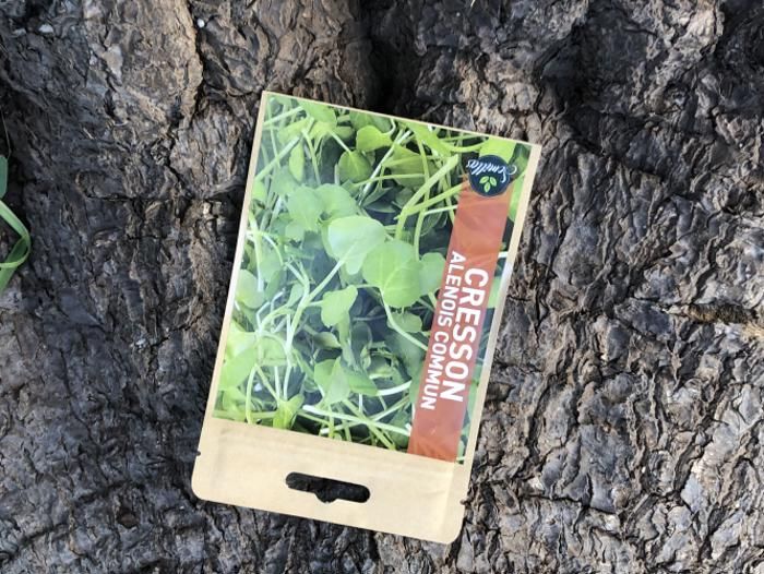 SACHET DE GRAINES CRESSON ALENOIS COMMUN
