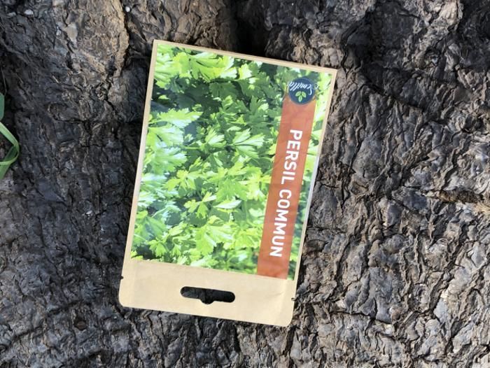 SACHET DE GRAINES PERSIL COMMUN
