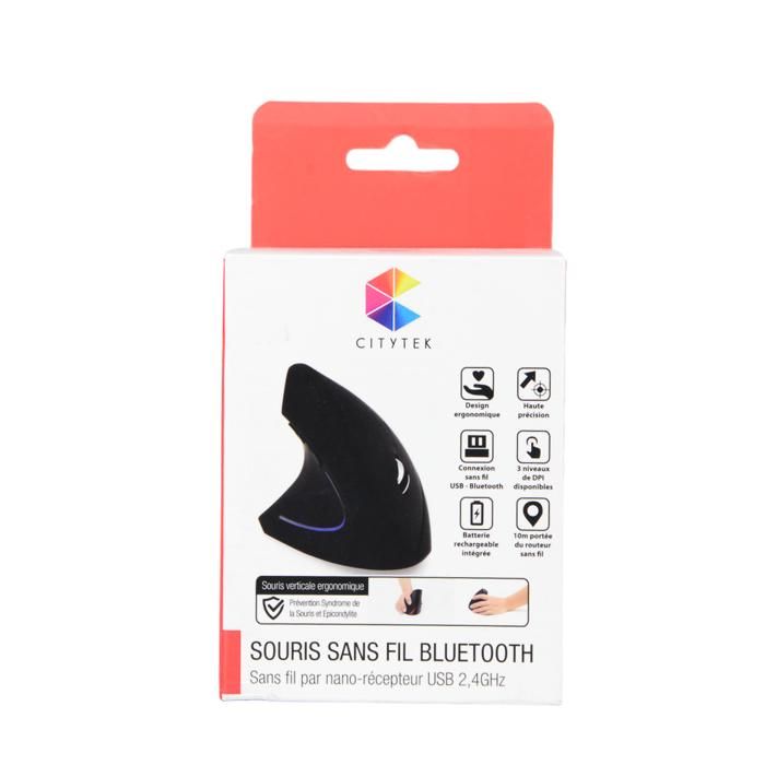SOURIS JEU 2EN1 BTH RECHARGEABL 2.4G MF109333 CIT