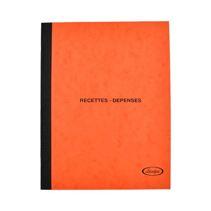 RECETTE/DEPENSE P107 21X27