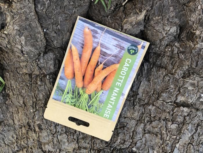 SACHET DE GRAINES CAROTTE NANTAISE