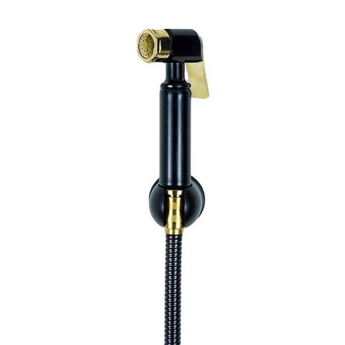 Kit Douchette WC - Assina - Noir Doré - Tuyau Flexible - Ergonomique - Design Moderne