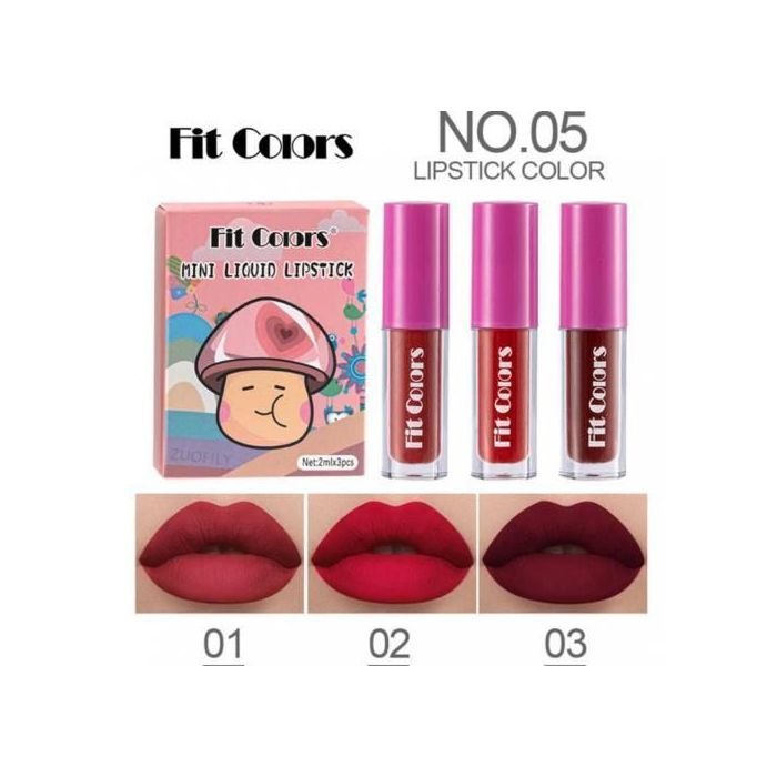 Set de 3 Rouges à Lèvres Waterproof, Nude, Ensemble Mini Kit de Gloss.